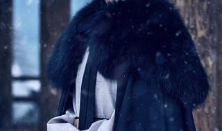 雪中悍刀行34集 雪中悍刀行34集